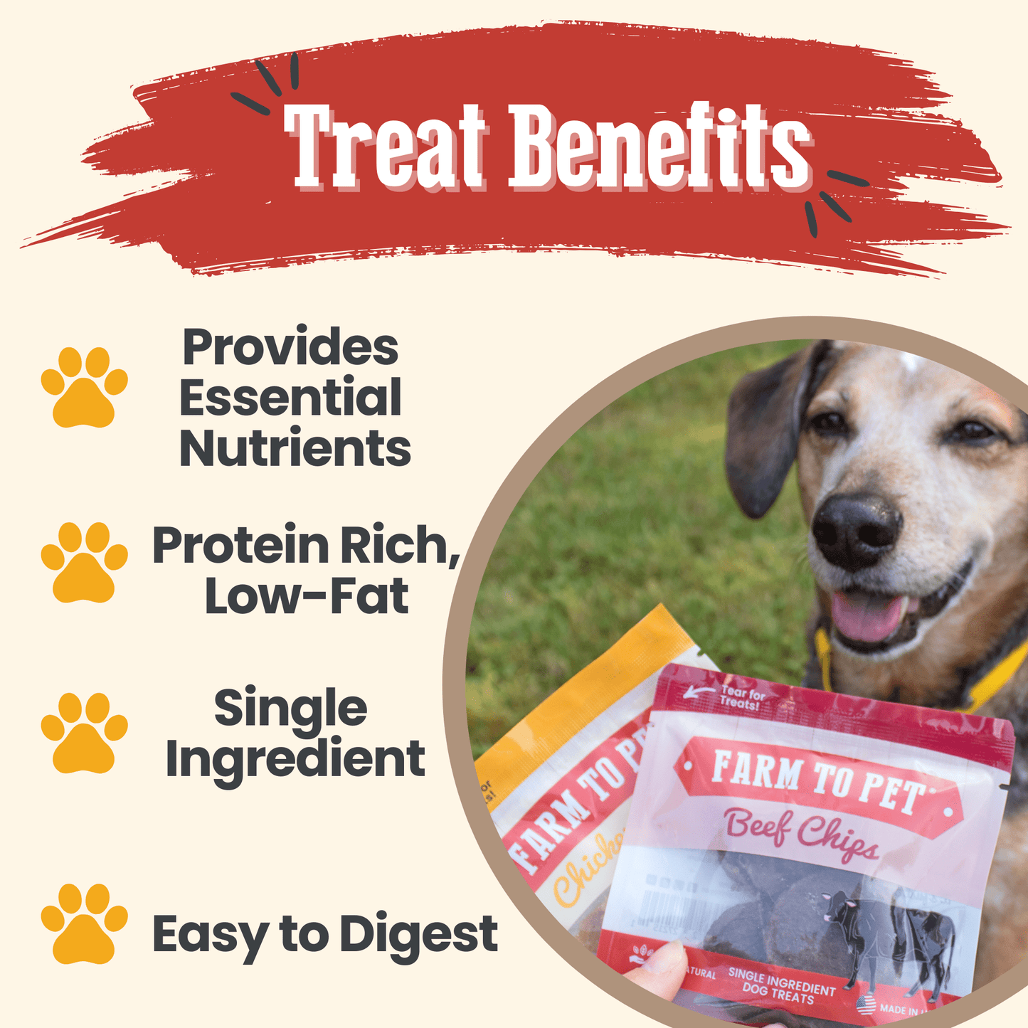 Puppy Packs 'n Snacks Dog Treat Starter Pack | Single-Ingredient Training Treats - Doot's Pet LLC Collars For A Cause