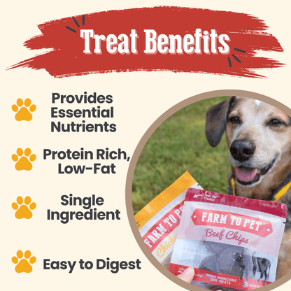 Puppy Packs 'n Snacks Dog Treat Starter Pack | Single-Ingredient Training Treats - Doot's Pet LLC Collars For A Cause