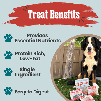 Puppy Packs 'n Snacks Dog Treat Starter Pack | Single-Ingredient Training Treats - Doot's Pet LLC Collars For A Cause