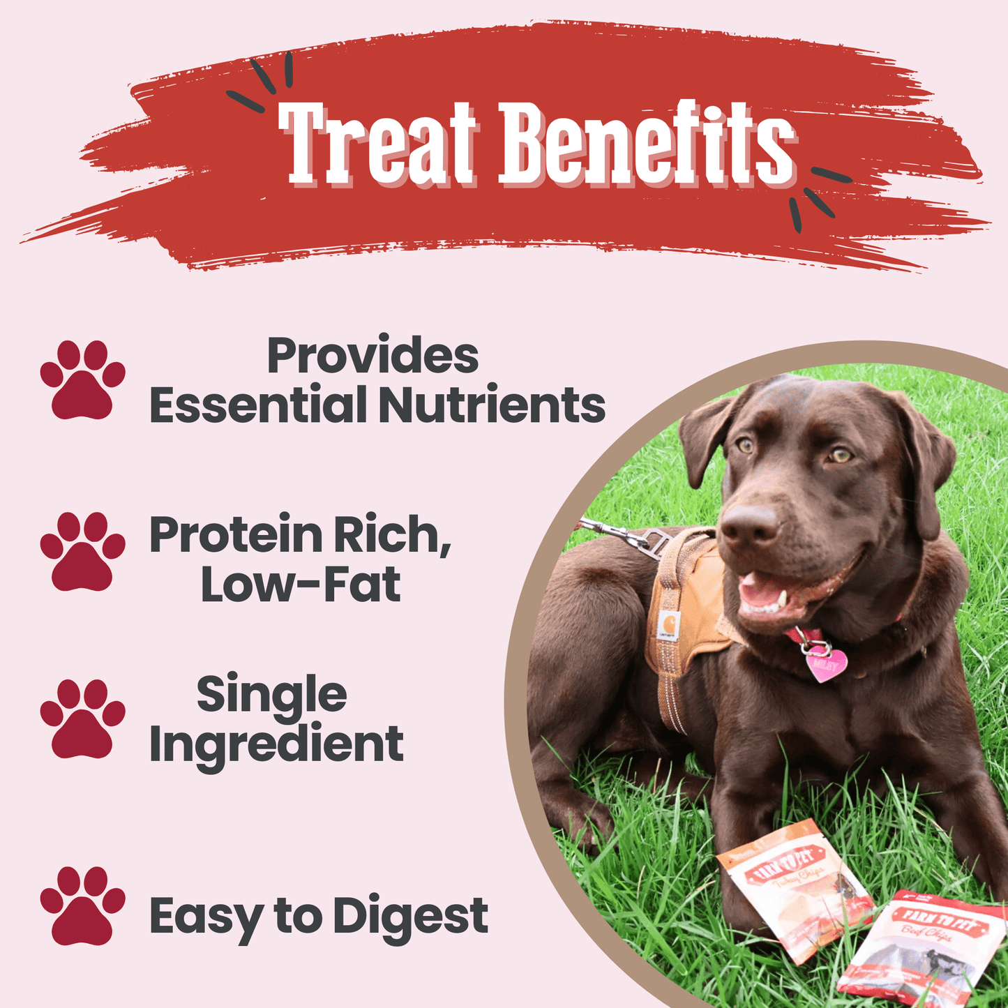 Puppy Packs 'n Snacks Dog Treat Starter Pack | Single-Ingredient Training Treats - Doot's Pet LLC Collars For A Cause