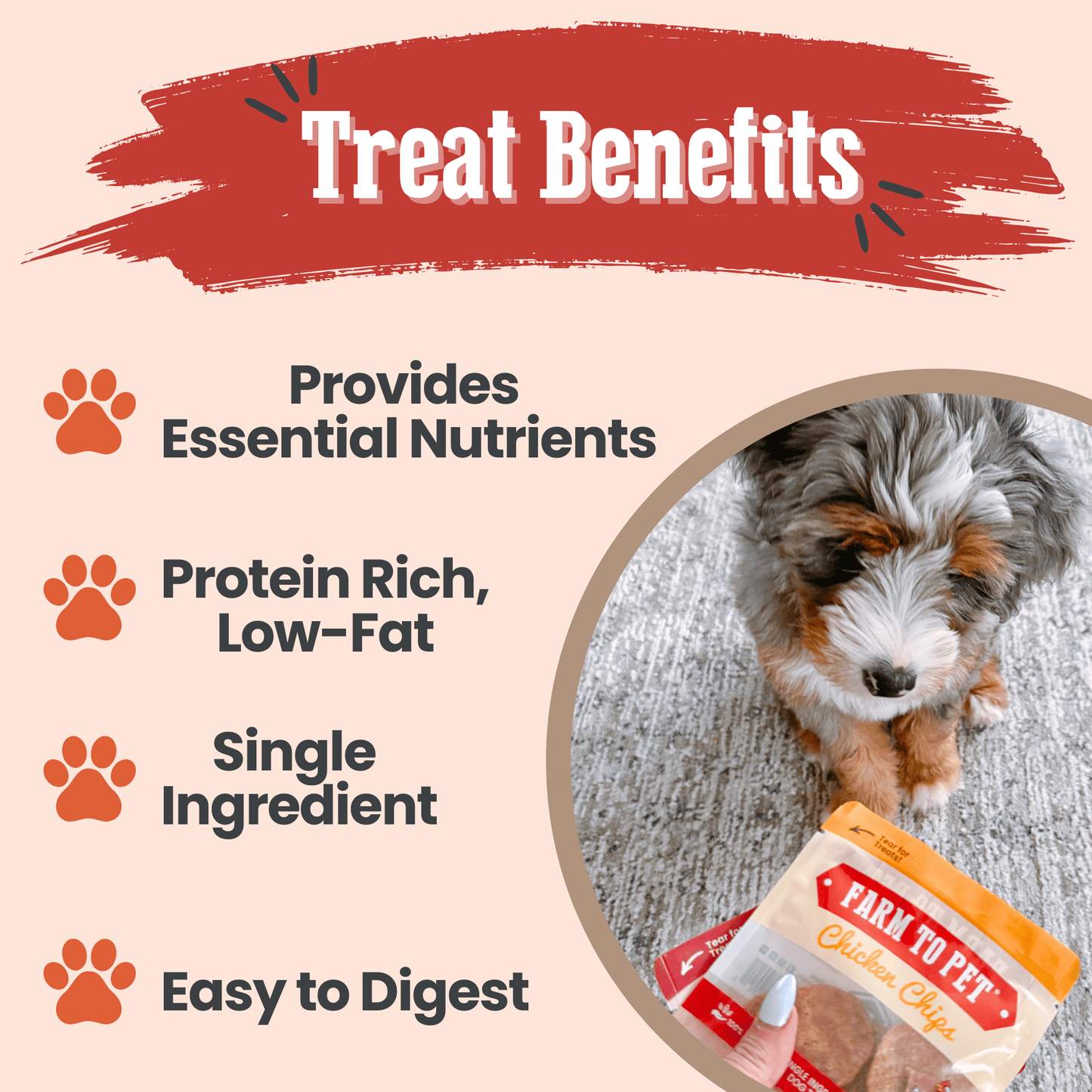Puppy Packs 'n Snacks Dog Treat Starter Pack | Single-Ingredient Training Treats - Doot's Pet LLC Collars For A Cause