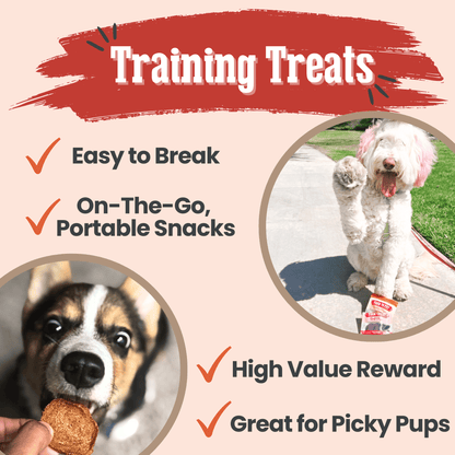 Puppy Packs 'n Snacks Dog Treat Starter Pack | Single-Ingredient Training Treats - Doot's Pet LLC Collars For A Cause