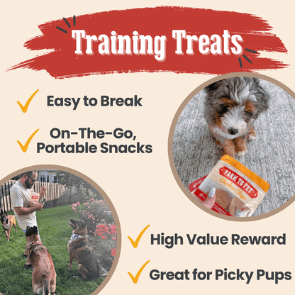 Snack Pack Dog Treat Sampler - Doot's Pet LLC Collars For A Cause