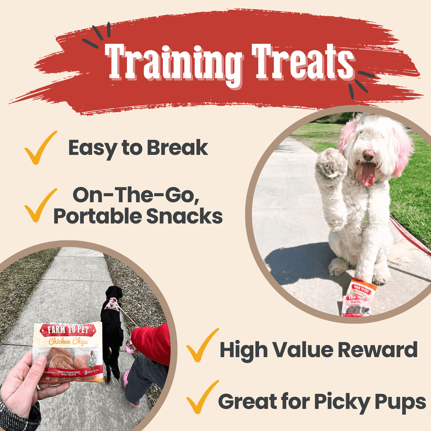 Snack Pack Dog Treat Sampler - Doot's Pet LLC Collars For A Cause