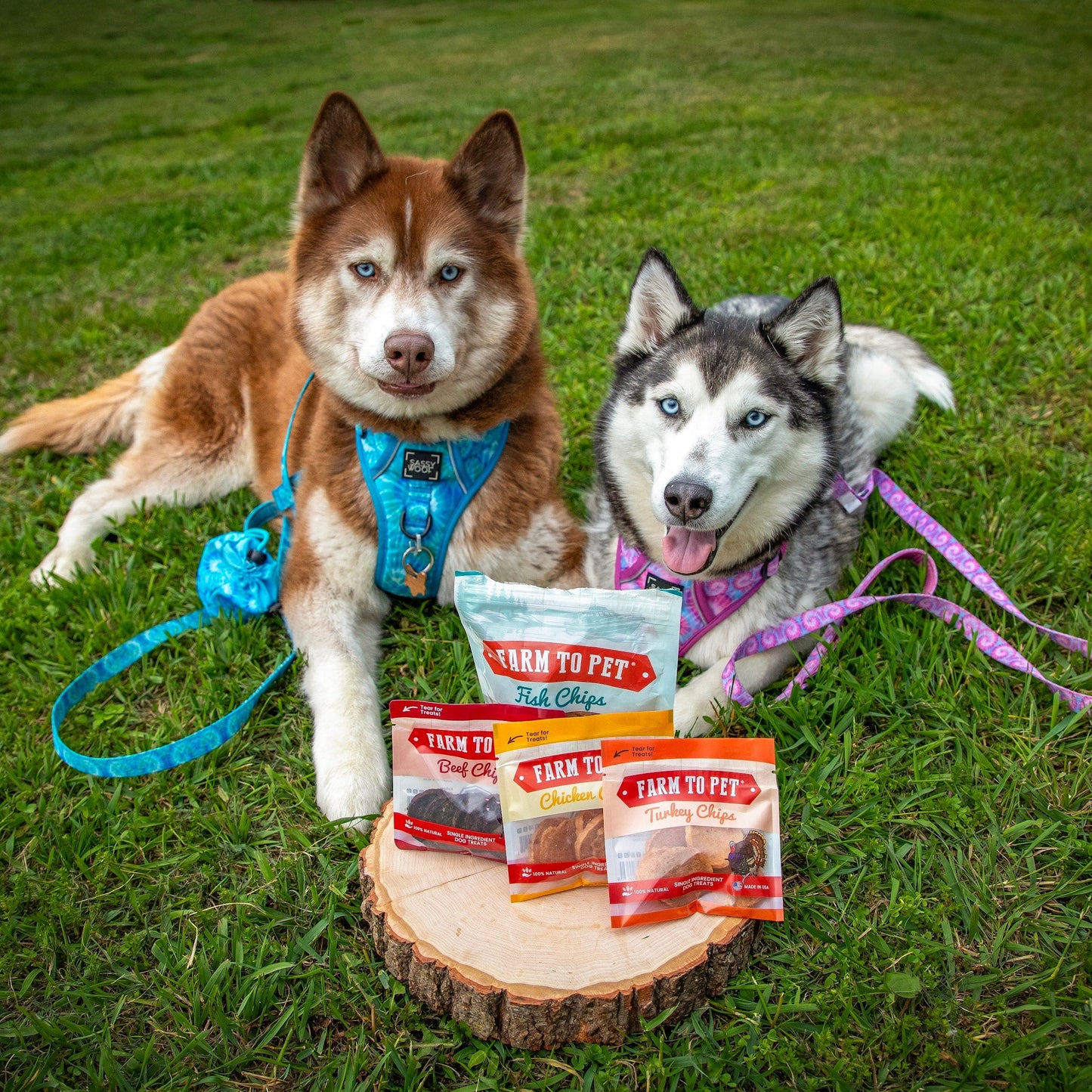 Puppy Packs 'n Snacks Dog Treat Starter Pack | Single-Ingredient Training Treats - Doot's Pet LLC Collars For A Cause