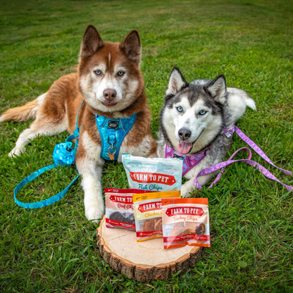 Puppy Packs 'n Snacks Dog Treat Starter Pack | Single-Ingredient Training Treats - Doot's Pet LLC Collars For A Cause