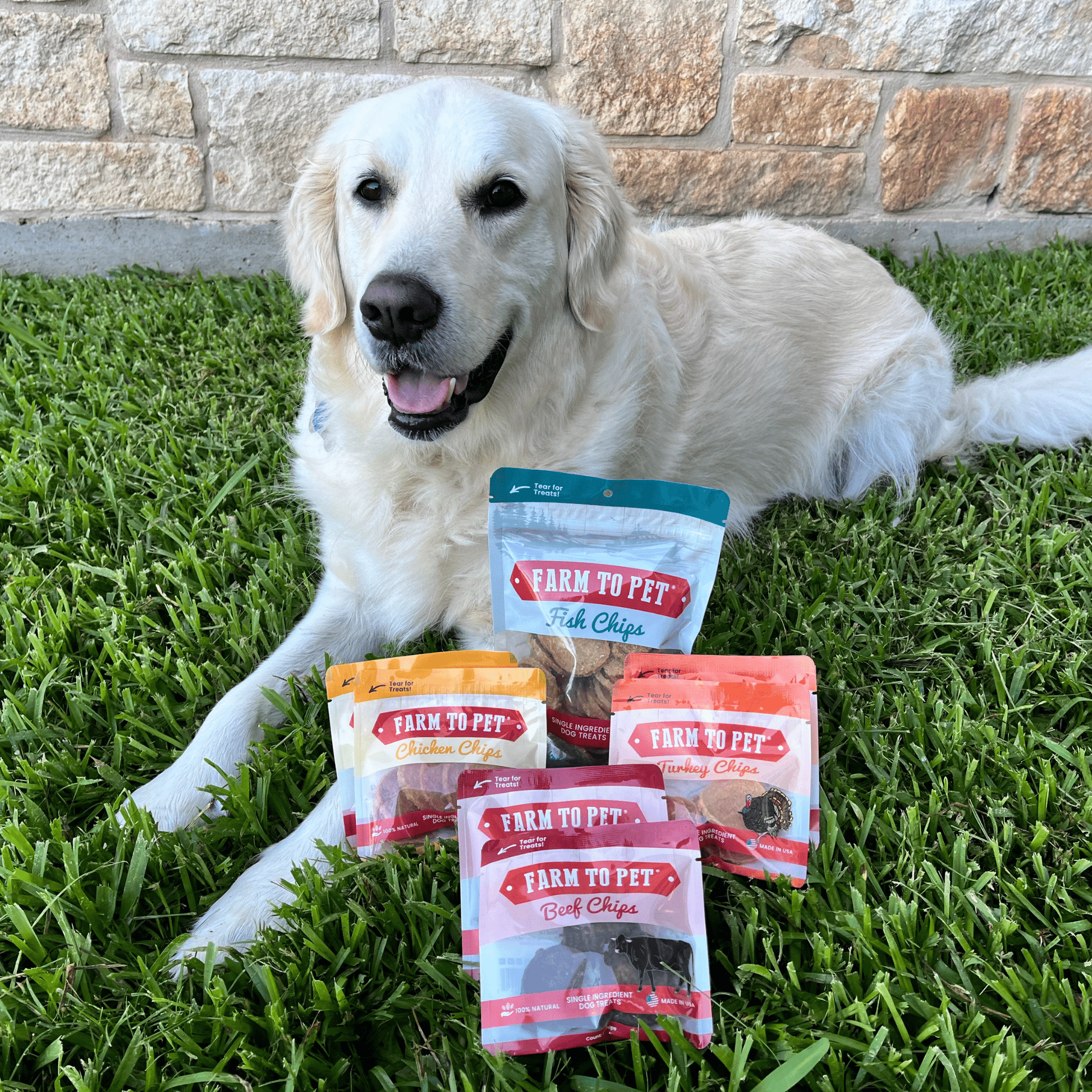 Puppy Packs 'n Snacks Dog Treat Starter Pack | Single-Ingredient Training Treats - Doot's Pet LLC Collars For A Cause