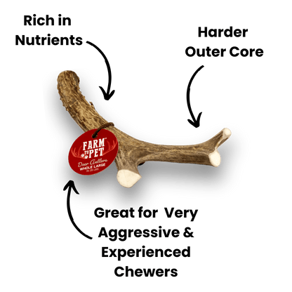 DEER ANTLER DOG CHEWS | ORGANIC CHEW FOR LARGE DOGS