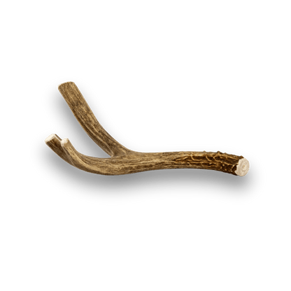 DEER ANTLER DOG CHEWS | ORGANIC CHEW FOR LARGE DOGS