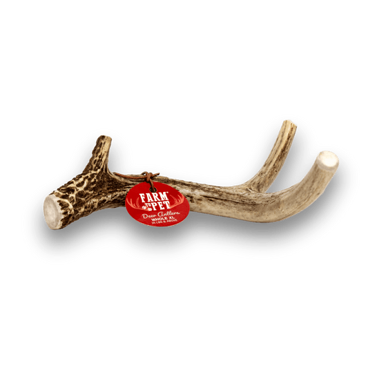 DEER ANTLER DOG CHEWS | ORGANIC CHEW FOR LARGE DOGS