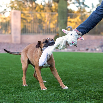 Fat Tail - Doot's Pet LLC Collars For A Cause
