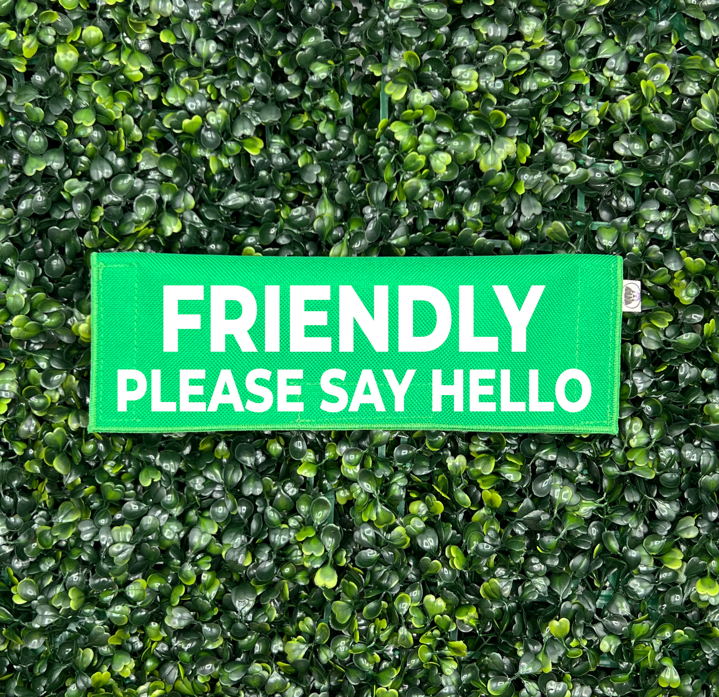 Friendly - Please Say Hello Leash Sleeve