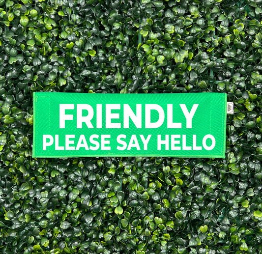 Friendly - Please Say Hello Leash Sleeve