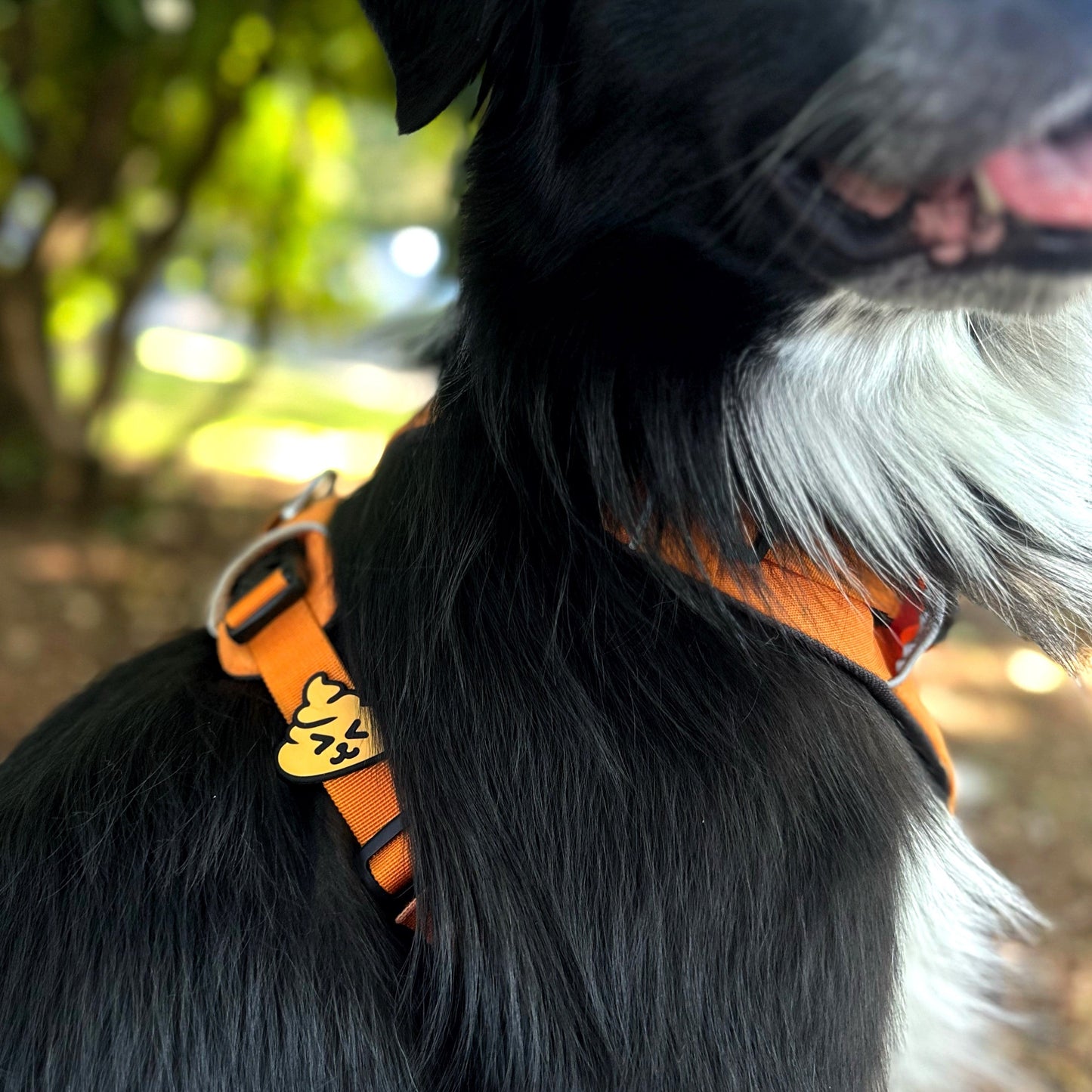 Poop Jiby Dog Charm