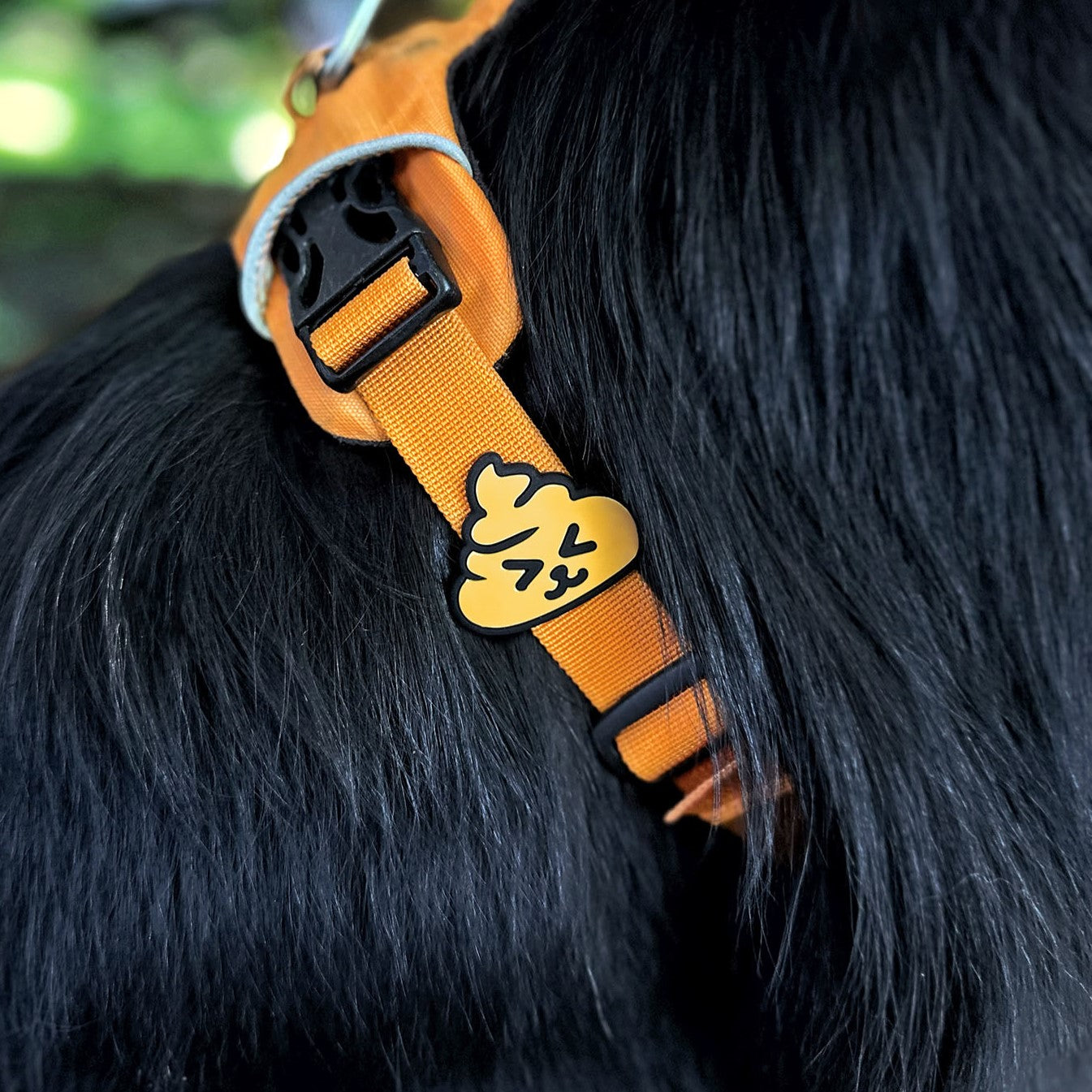 Poop Jiby Dog Charm