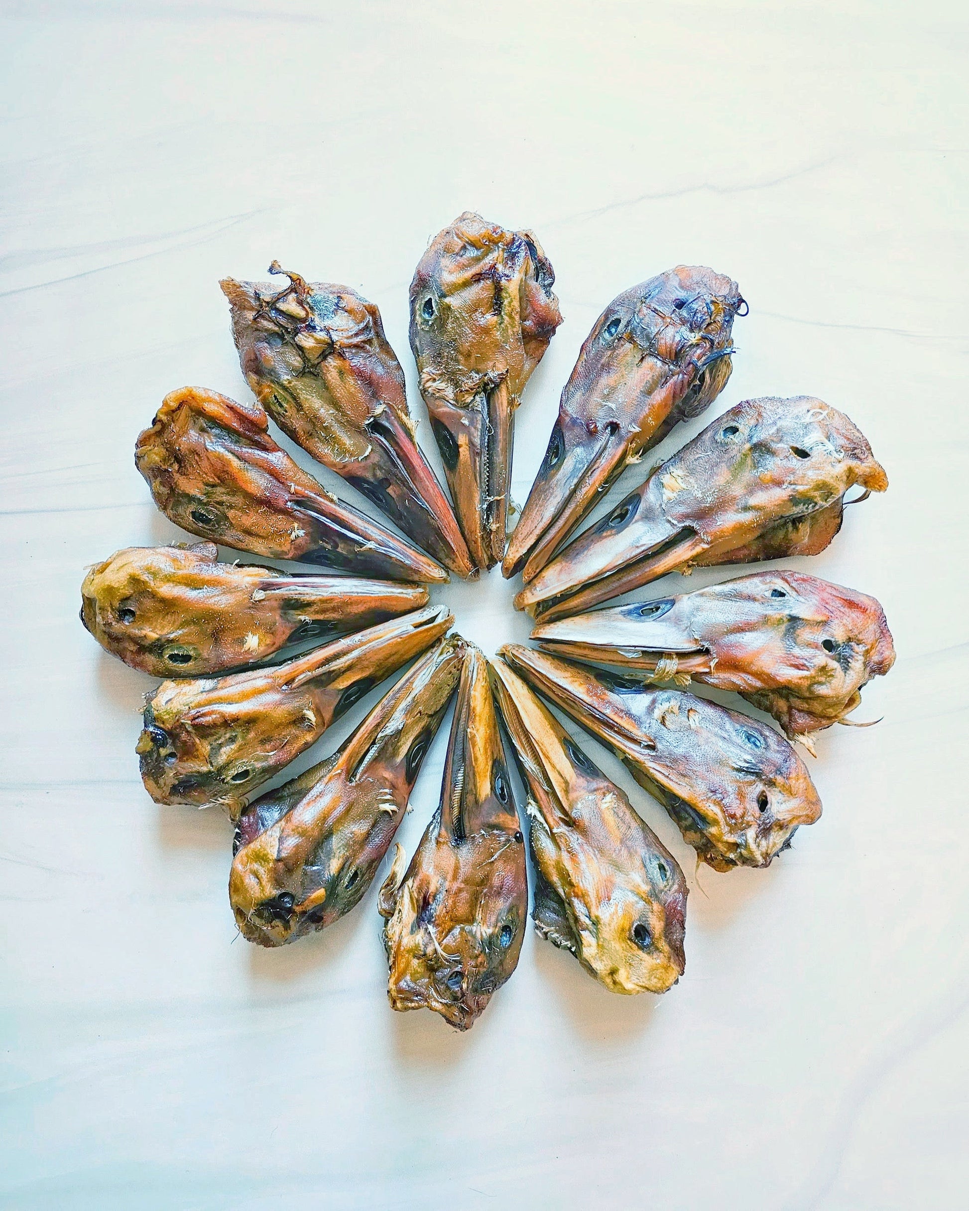 Duck Heads (ABF) - Doot's Pet LLC Collars For A Cause