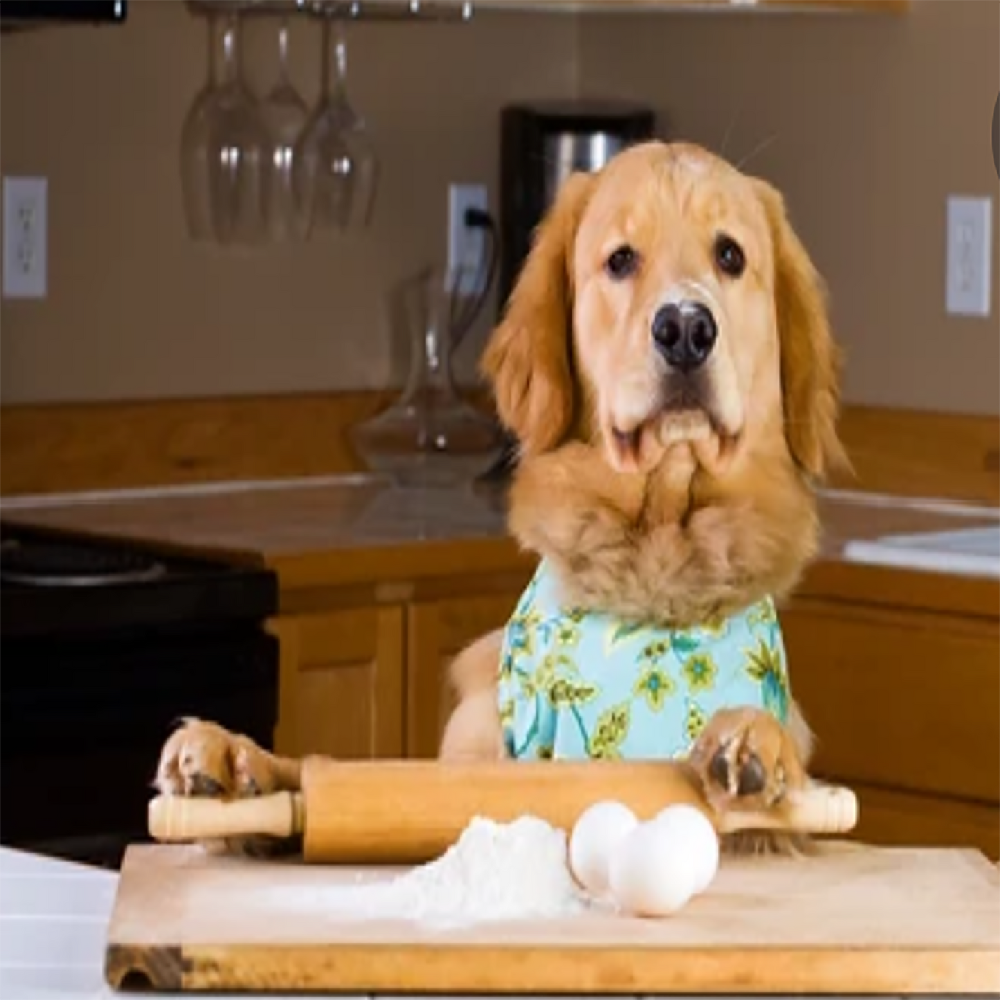 Peanut Butter Macarons Organic Dog Treats