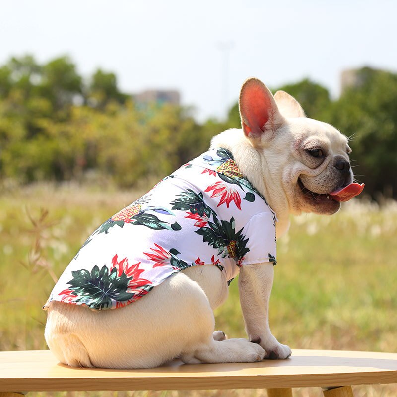 Hawaiian Pet Shirts - Doot's Pet LLC Collars For A Cause