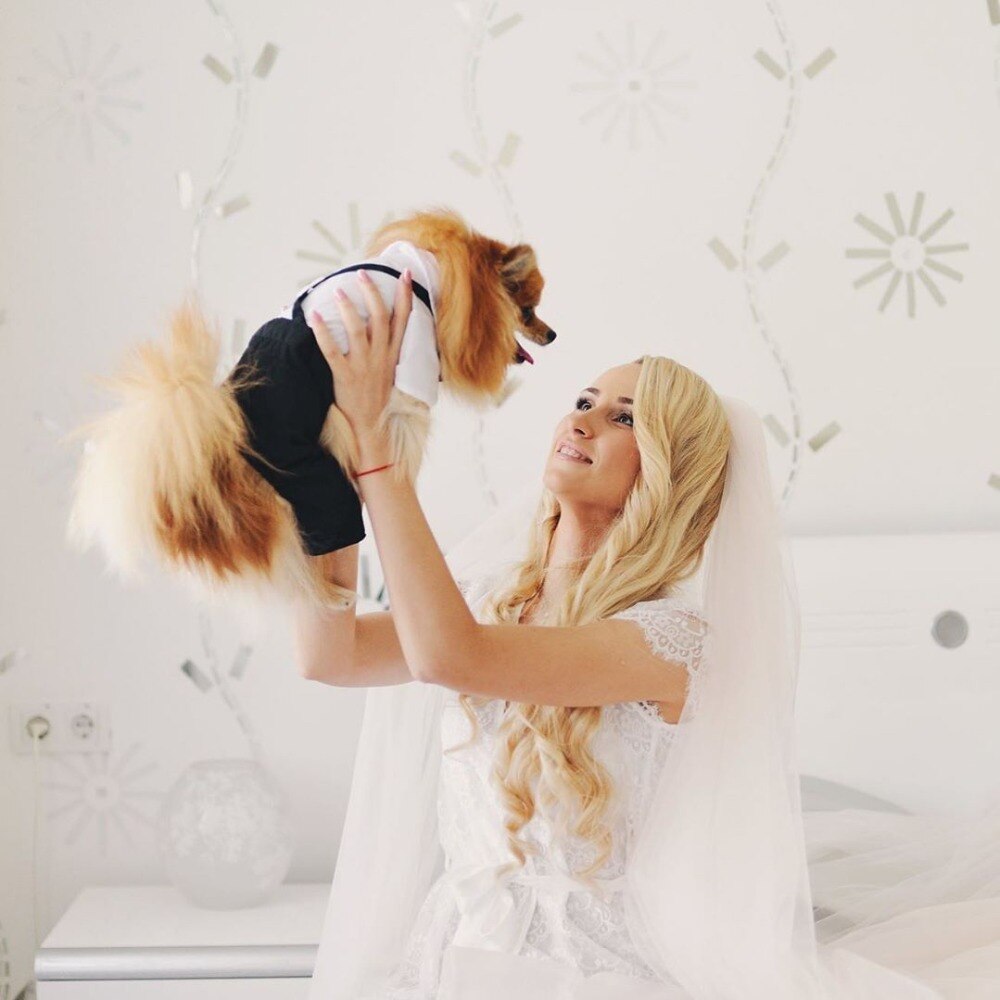 Handsome Stylish Pet Suit with Bow Tie - Doot's Pet LLC Collars For A Cause