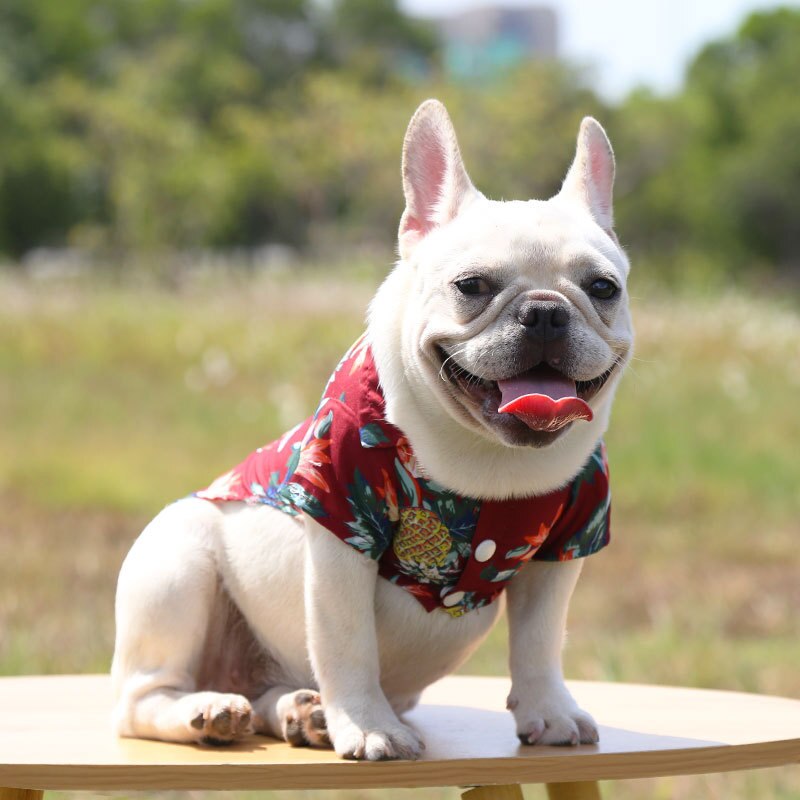 Hawaiian Pet Shirts - Doot's Pet LLC Collars For A Cause