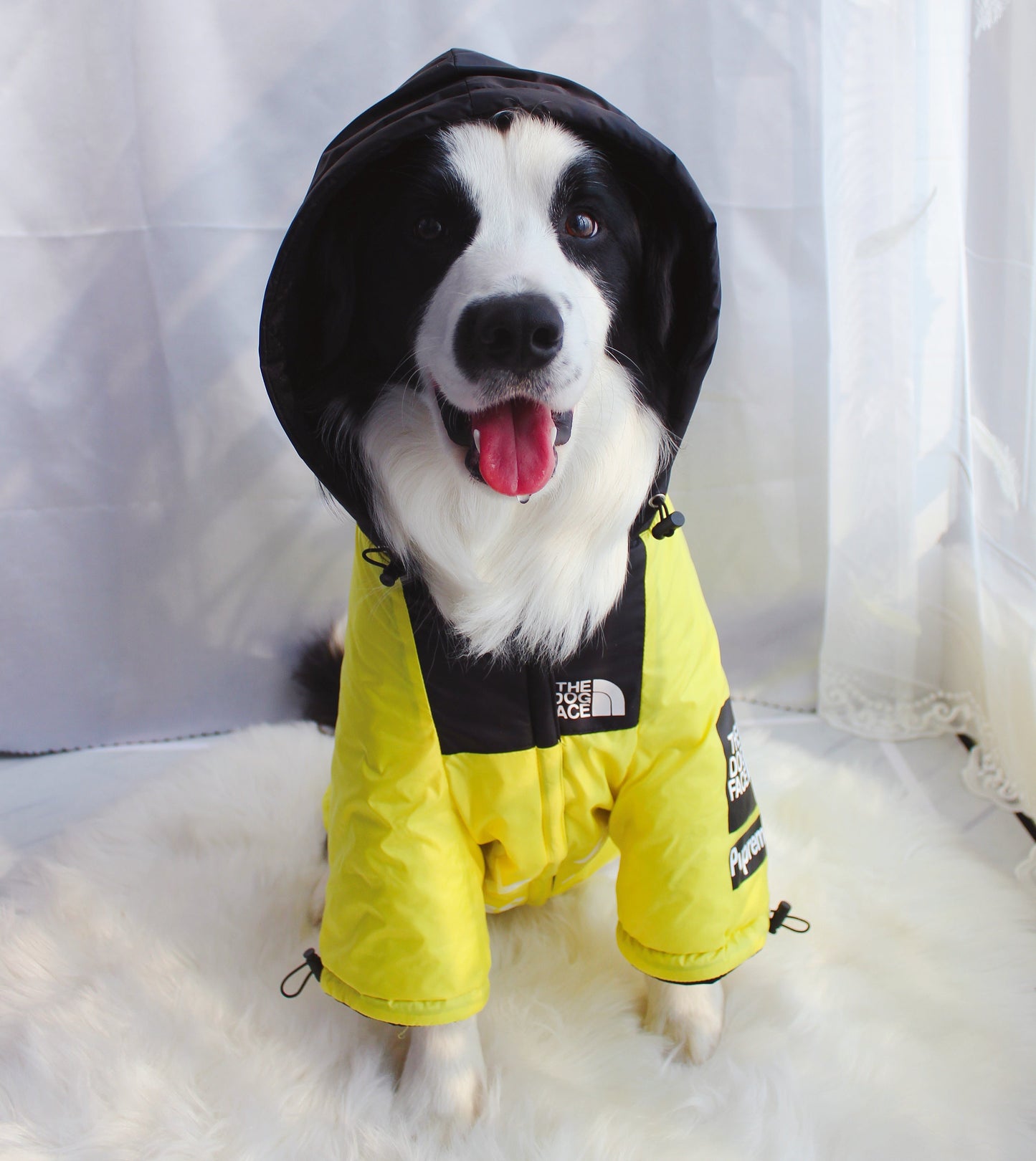 The Dog Face Windproof Waterproof Reflective Pet Cat Dog Jacket