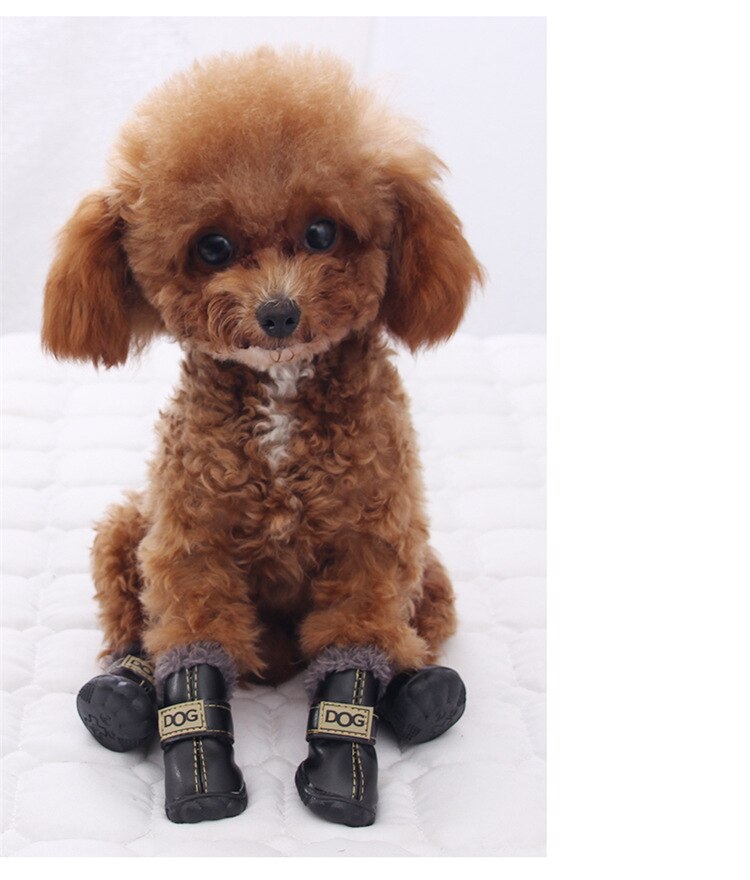 Dog Australia Waterproof Fleece-Lined Warm Dog Snow Boots - Doot's Pet LLC Collars For A Cause