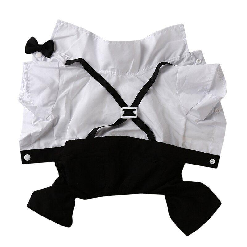 Handsome Stylish Pet Suit with Bow Tie - Doot's Pet LLC Collars For A Cause