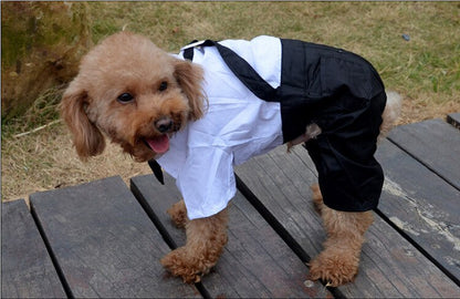 Handsome Stylish Pet Suit with Bow Tie - Doot's Pet LLC Collars For A Cause