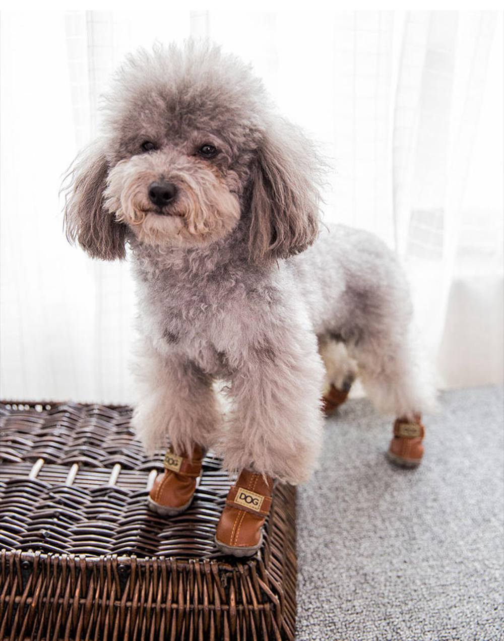 Dog Australia Waterproof Fleece-Lined Warm Dog Snow Boots - Doot's Pet LLC Collars For A Cause
