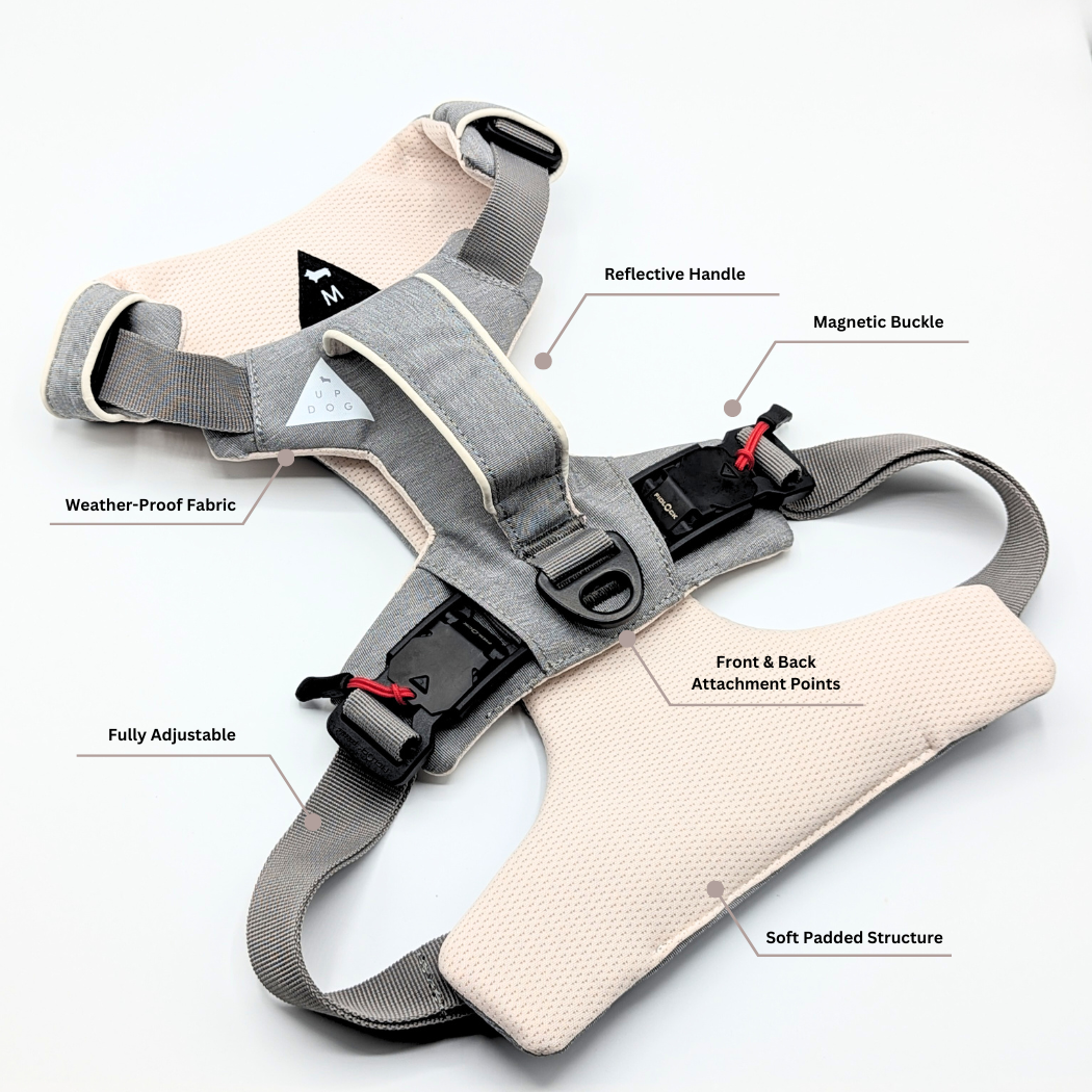 Magnetic Dog Harness - Doot's Pet LLC Collars For A Cause