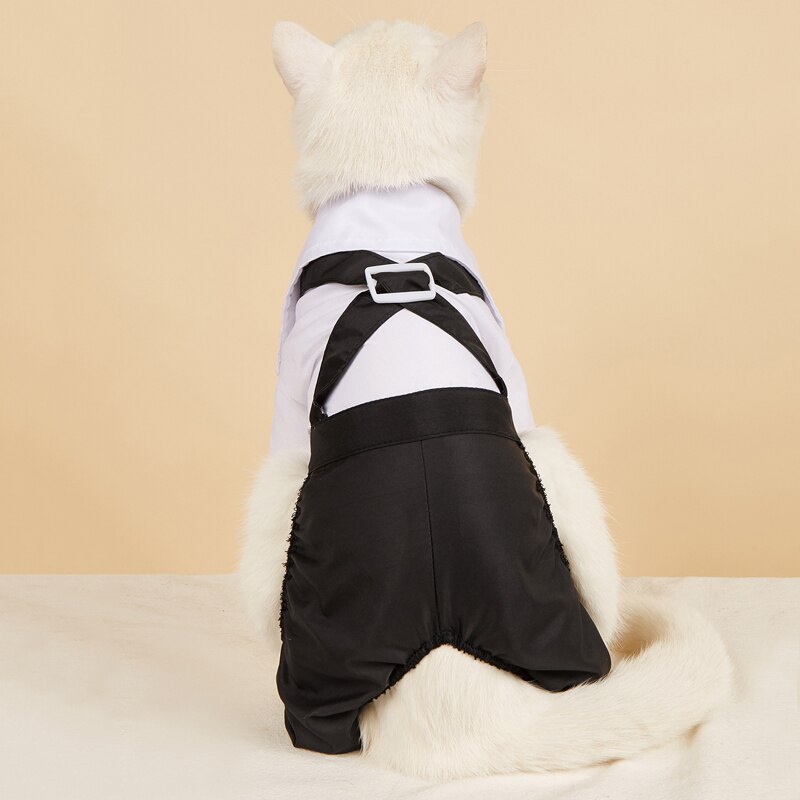 Handsome Stylish Pet Suit with Bow Tie - Doot's Pet LLC Collars For A Cause