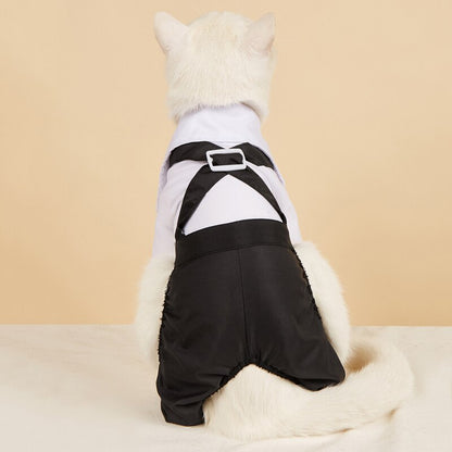 Handsome Stylish Pet Suit with Bow Tie - Doot's Pet LLC Collars For A Cause