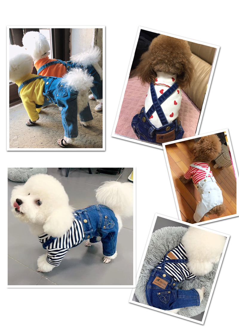 Denim Jumpsuit for Small Pets - Doot's Pet LLC Collars For A Cause