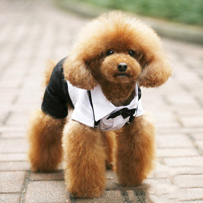 Handsome Stylish Pet Suit with Bow Tie - Doot's Pet LLC Collars For A Cause