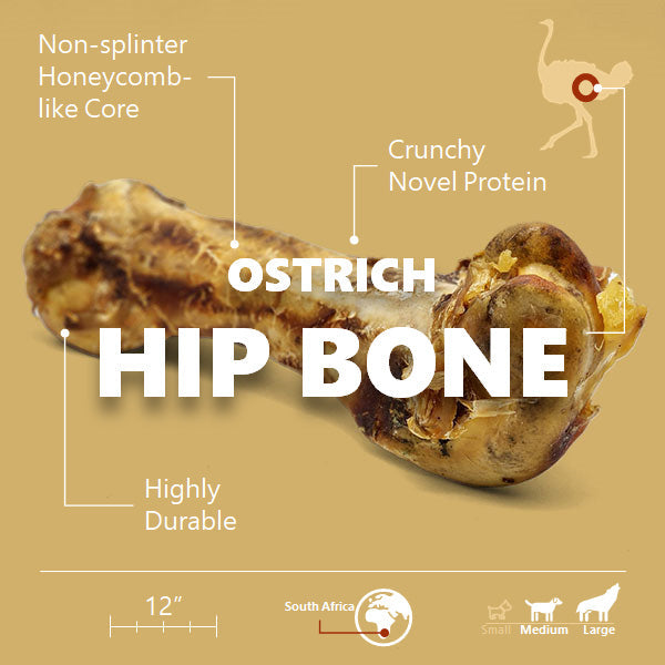 Ostrich Hip Bone (12" x 5"x 3”): The Durable, Flavor-Packed Chew for Medium & Large Dogs - Doot's Pet LLC Collars For A Cause