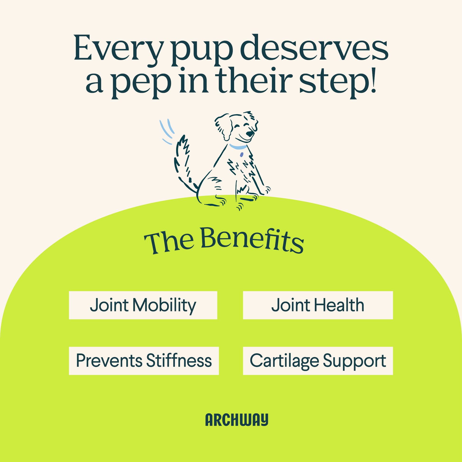 Hip & Joint Health - Doot's Pet LLC Collars For A Cause