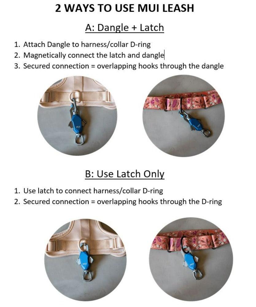 Patented Magnetic Dog Leash - Doot's Pet LLC Collars For A Cause