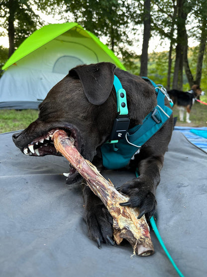 Lamb Shank (GFF & Pasture Raised) - Doot's Pet LLC Collars For A Cause