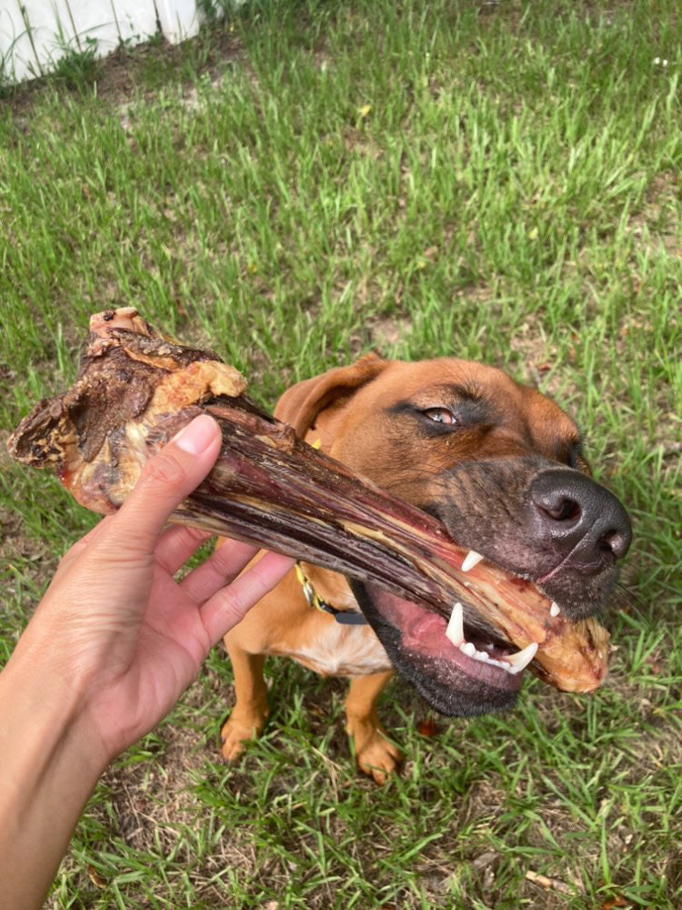 Lamb Shank (GFF & Pasture Raised) - Doot's Pet LLC Collars For A Cause