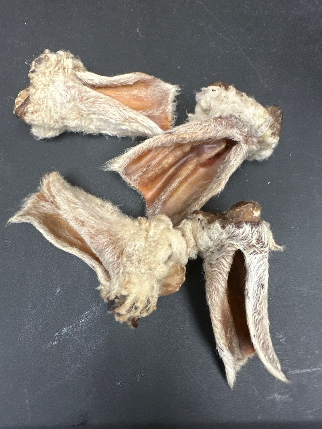 Lamb Ears (Furry & Non Fur) - Doot's Pet LLC Collars For A Cause