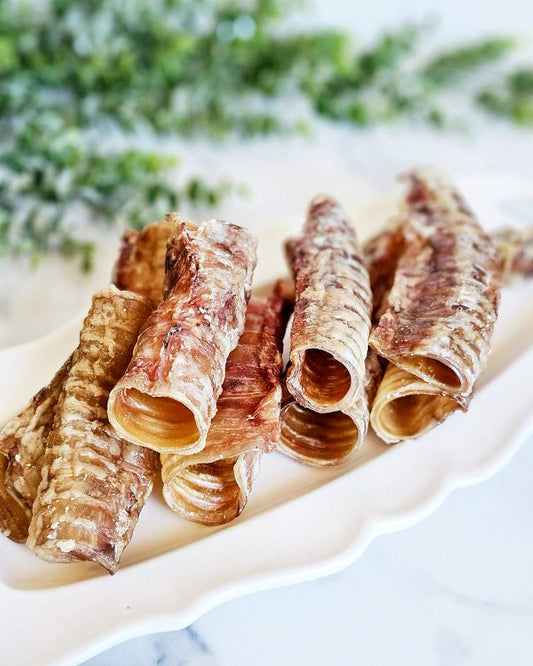 Beef Trachea (Grass Fed & Finished) - Doot's Pet LLC Collars For A Cause