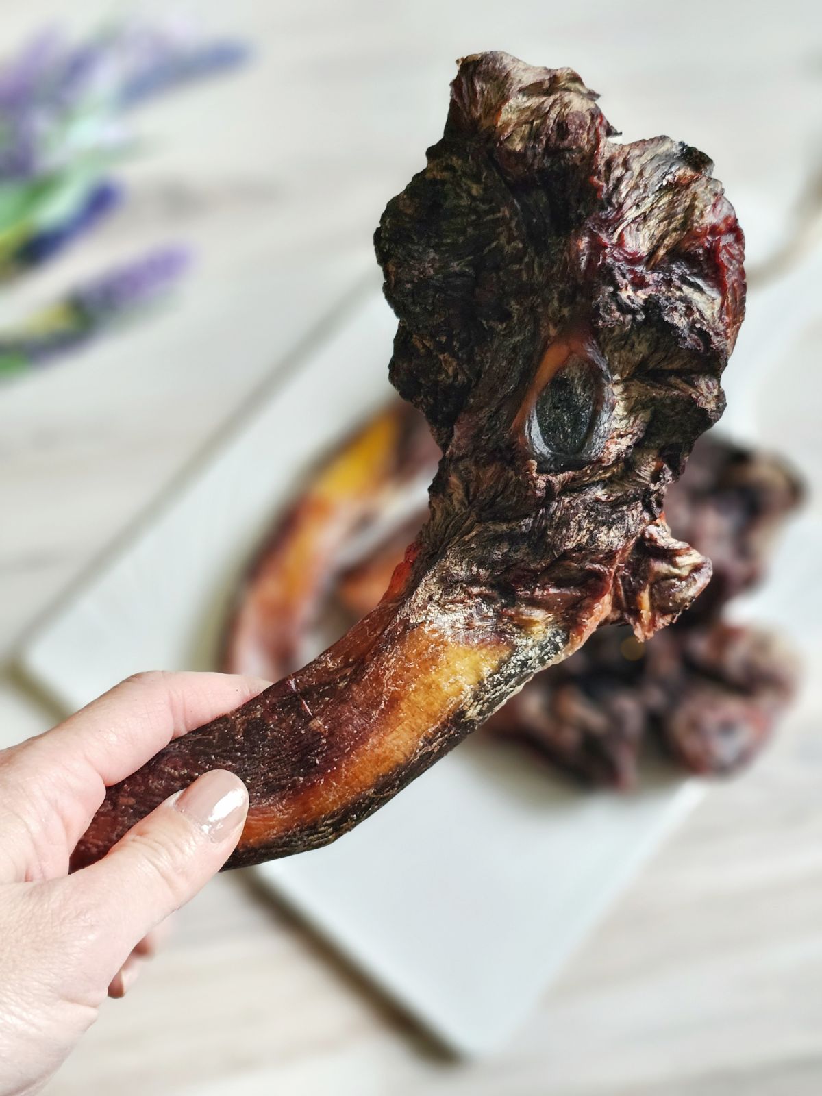 Beef Pizzle (Sticks, Loops, Short, - Doot's Pet LLC Collars For A Cause