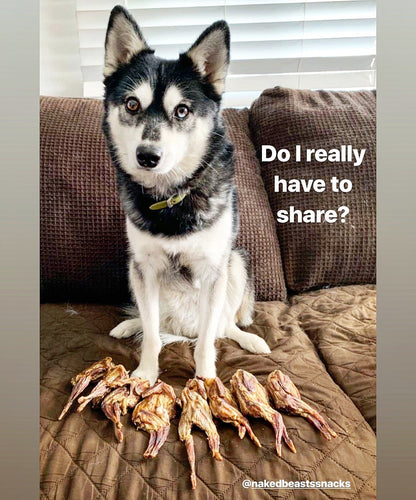 Whole Quails (Bone-In) - Doot's Pet LLC Collars For A Cause