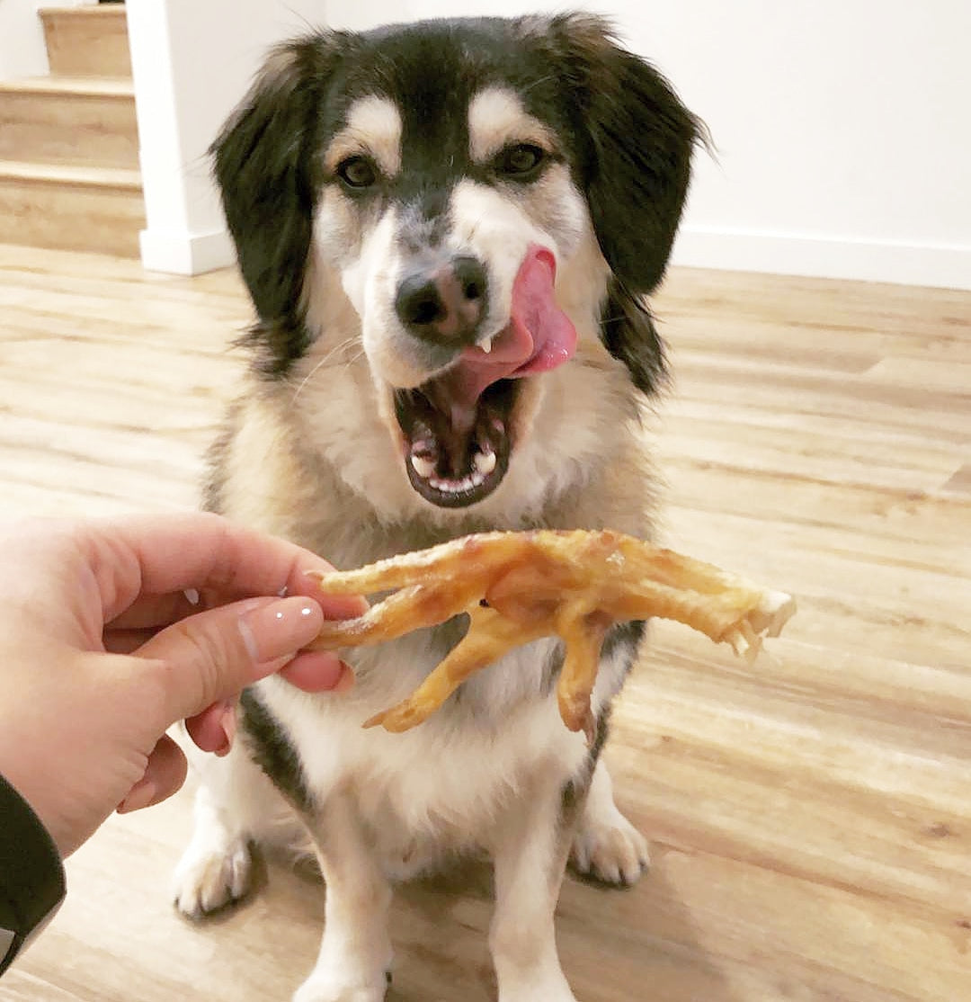 Chicken Feet - Doot's Pet LLC Collars For A Cause