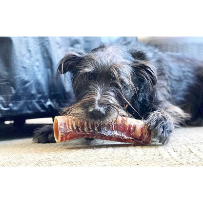 Beef Trachea (Grass Fed & Finished) - Doot's Pet LLC Collars For A Cause