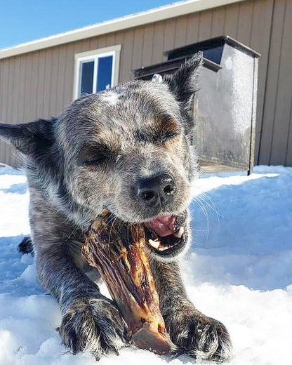 Lamb Shank (GFF & Pasture Raised) - Doot's Pet LLC Collars For A Cause