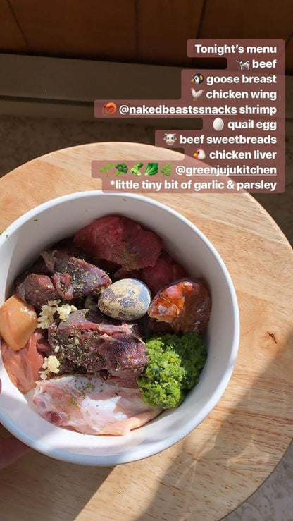 Shrimp - Doot's Pet LLC Collars For A Cause