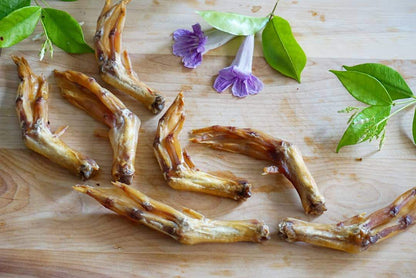 Duck Feet (ABF) - Doot's Pet LLC Collars For A Cause