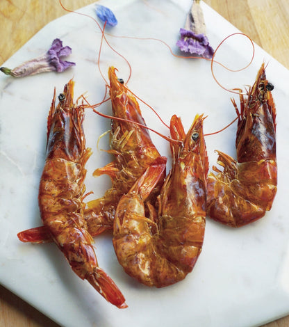 Shrimp - Doot's Pet LLC Collars For A Cause