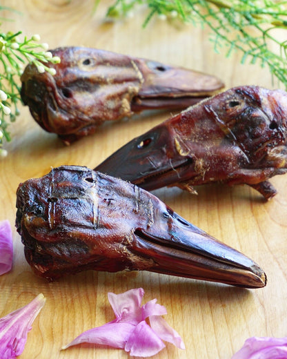 Duck Heads (ABF) - Doot's Pet LLC Collars For A Cause